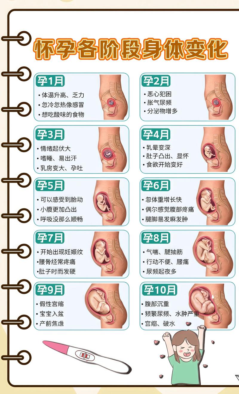 揭秘供卵代孕妈妈怀孕小腹分两节，孕期变化的奥秘琼中代生机构: