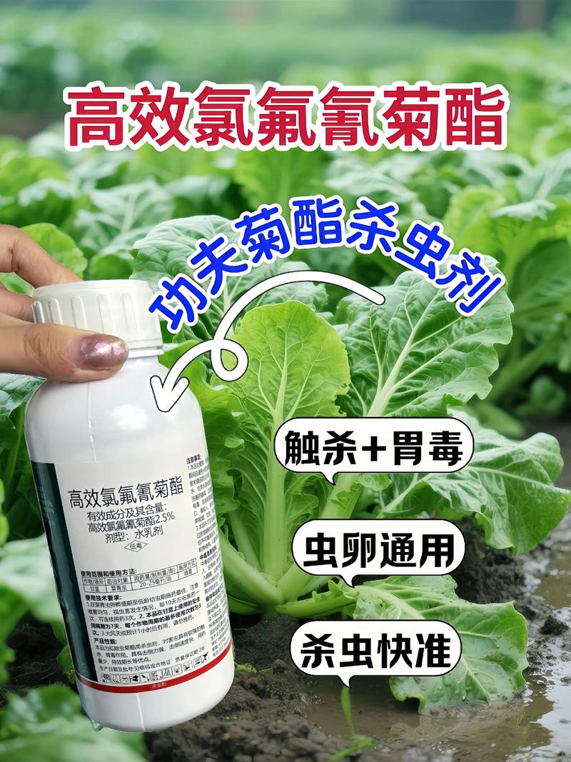 琼中代生中心:农药对供卵代生妈妈的危害